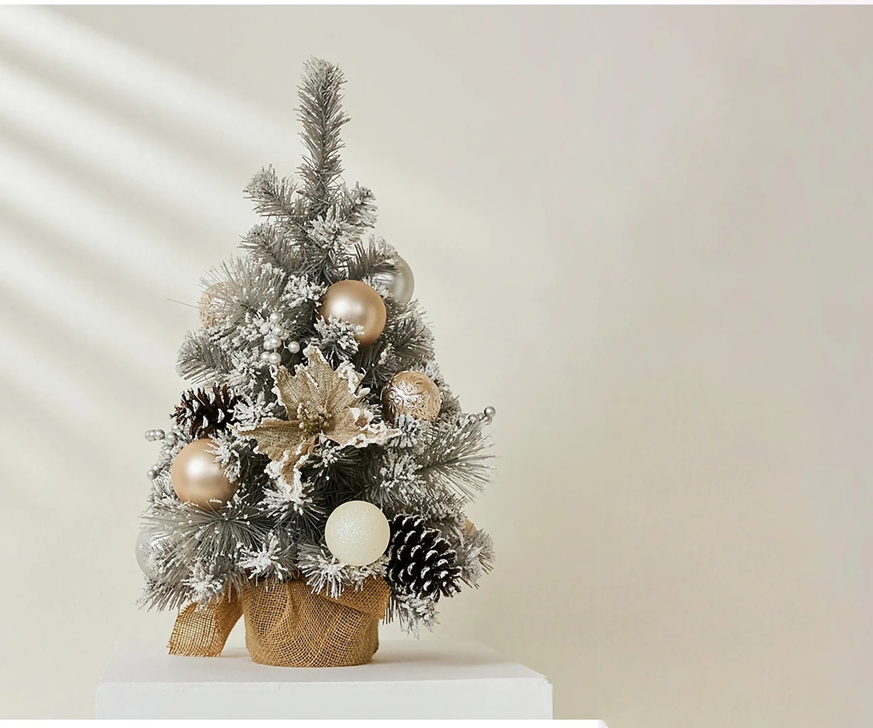 クリスマスツリーの画像